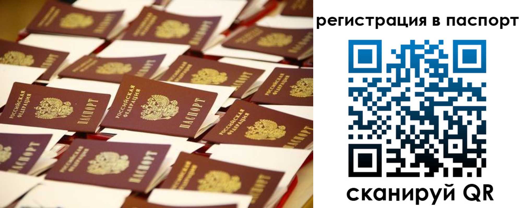 прописка гарантия в Бокситогорске